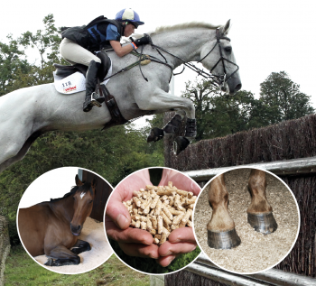 Screen Shot 2017-03-17 at 18.09.42