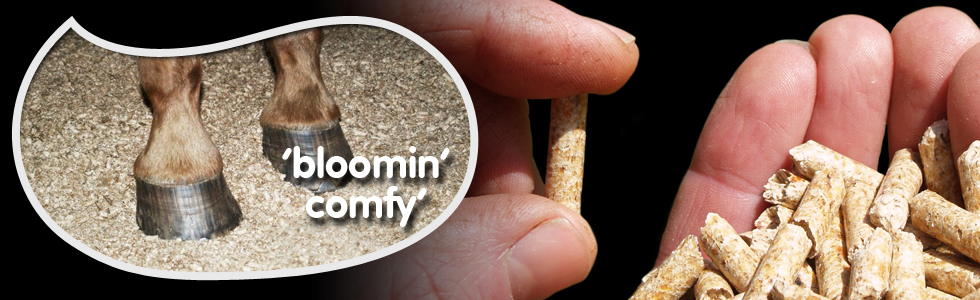 bloomin’ comfy