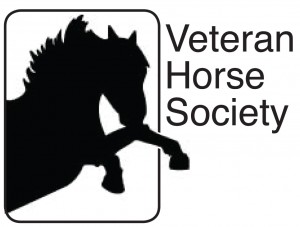 VHS logo