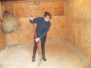Equine Horse Bedding