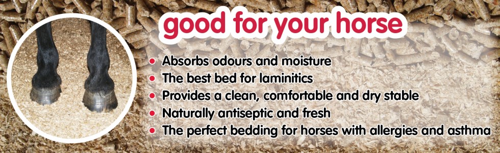 Good for your horse’s health