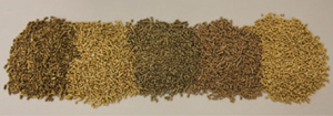 Horse Bedding Pellets
