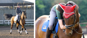 Screen Shot 2015-02-27 at 13.20.33