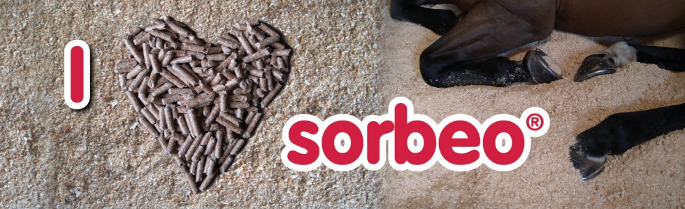 I love sorbeo