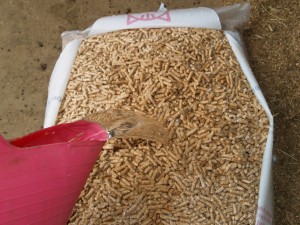 Wood Pellets Bedding for Horses