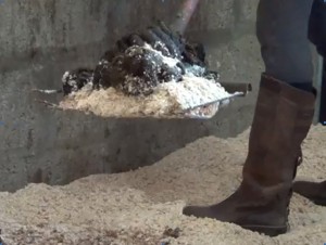 wood pellets for horse bedding