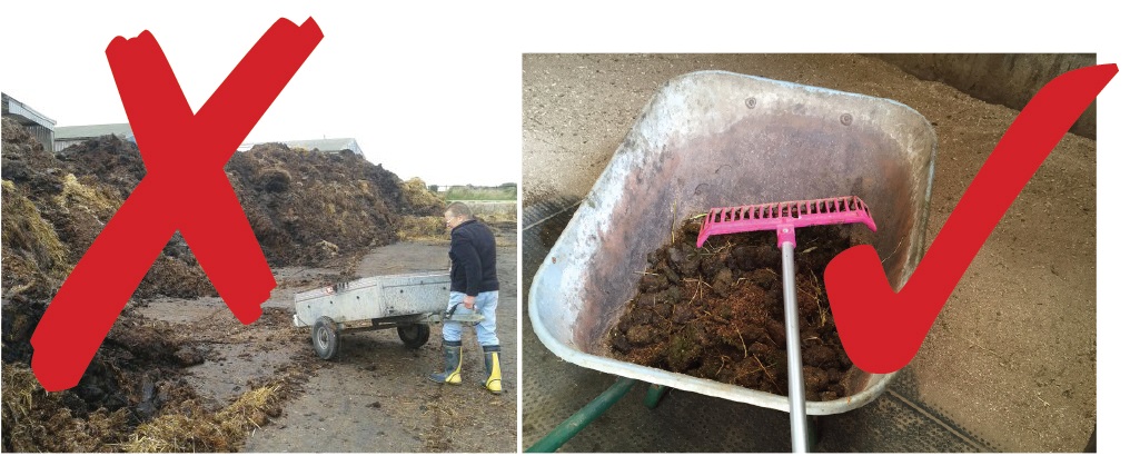 modern horse bedding