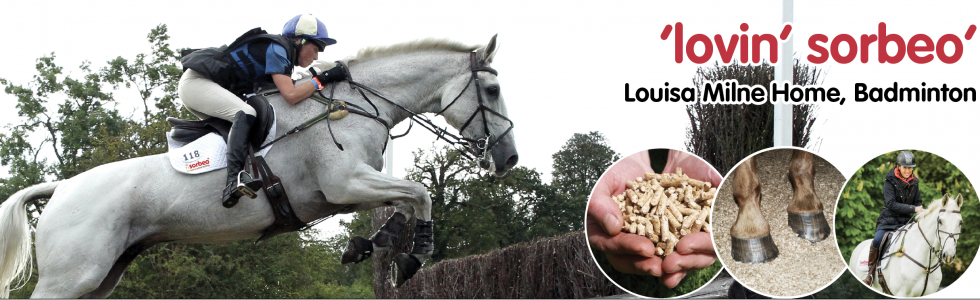 Louisa Milne Home – Badminton