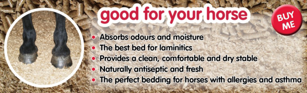 best bedding for horses